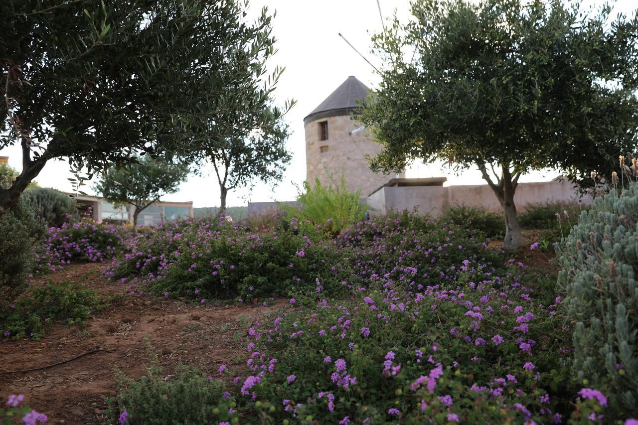 The Windmill Resort Mitáta Exterior foto